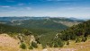 _DSC2927g.jpg