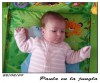P1000354w.jpg