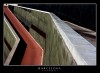 Barna37_copy.JPG