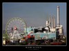 Barna38_copy.JPG