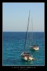 Nombre del archivo=menorca_0012.JPG
Tamaño del archivo=163Kb
Dimensiones=467x699
Fecha añadida=22 de Octubre de 07 menorca_0012.JPG