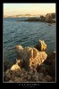 Nombre del archivo=menorca_0019.JPG
Tamaño del archivo=235Kb
Dimensiones=467x699
Fecha añadida=22 de Octubre de 07 menorca_0019.JPG