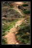 Nombre del archivo=menorca_0054.JPG
Tamaño del archivo=303Kb
Dimensiones=467x699
Fecha añadida=22 de Octubre de 07 menorca_0054.JPG