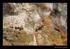_MG_1607_web.jpg