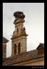 _MG_1654_web.jpg