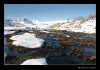 _MG_5549_web.jpg