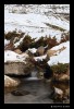 _MG_5568_web.jpg