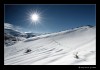 _MG_5625_web.jpg