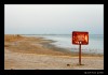 _MG_6420_web.jpg