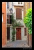 _MG_7399_web.jpg