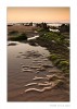 _MG_9416_web_blanco.jpg