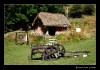 _MG_9537_web.jpg