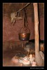 _MG_9557_web.jpg
