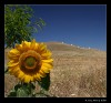 Nombre del archivo=la_mancha_04.jpg
Tamaño del archivo=234Kb
Dimensiones=700x655
Fecha añadida=31 de Mayo de 07 la_mancha_04.jpg