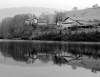 _DSC0331bnw.jpg