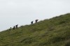 _DSC3665nx2w.jpg