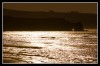 Nombre del archivo=sol.jpg
Tamaño del archivo=247Kb
Dimensiones=800x529
Fecha añadida=26 de Marzo de 09 sol.jpg