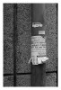 DSC_14.jpg