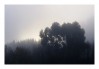 DSC_6069.jpg