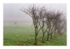 DSC_6087.jpg
