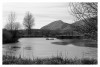 Nombre del archivo=DSC_7591.jpg
Tamaño del archivo=299Kb
Dimensiones=840x571
Fecha añadida=06 de Febrero de 11 DSC_7591.jpg