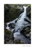 DSC_8822_copia~0.jpg