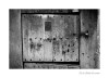 DSC_8989_copia.jpg