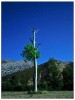 Nombre del archivo=arbol_are.jpg
Tamaño del archivo=299Kb
Dimensiones=605x800
Fecha añadida=06 de Julio de 10 arbol_are.jpg