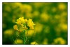 Nombre del archivo=primavera2.jpg
Tamaño del archivo=284Kb
Dimensiones=800x551
Fecha añadida=27 de Abril de 10 primavera2.jpg