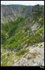 IMG_6742.jpg