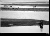 Nombre del archivo=Marismas-2w.jpg
Tamaño del archivo=139Kb
Dimensiones=644x465
Fecha añadida=16 de Septiembre de 05 Marismas-2w.jpg