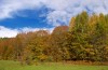PA310056.jpg