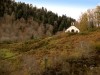 PA311230a.jpg