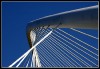 Nombre del archivo=calatrava2.jpg
Tamaño del archivo=58Kb
Dimensiones=700x489
Fecha añadida=03 de Abril de 05 calatrava2.jpg